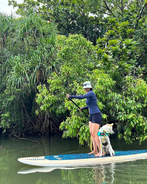 Oahu: Kahana River Stand-Up Paddleboard Rental – Hawaii, Hawaii