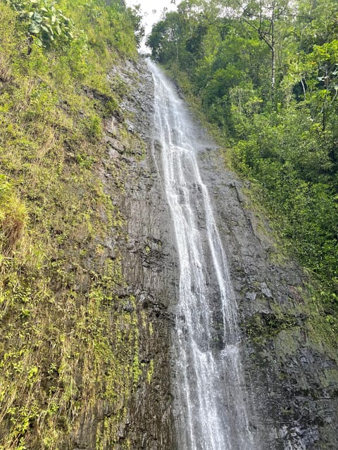 Oahu: Manoa Falls Hike and east side beach day – Honolulu, Hawaii