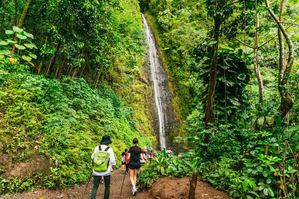 Oahu: Manoa Falls Waterfall Hike with Lunch and Transfers – Honolulu, Hawaii