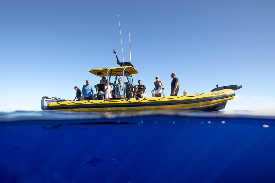 Oahu: North Shore Marine Life Tour from Haleiwa – Haleiwa, Hawaii