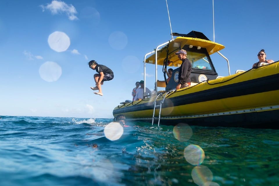 Oahu: North Shore Snorkeling Tour from Haleiwa – Hawaii, Hawaii