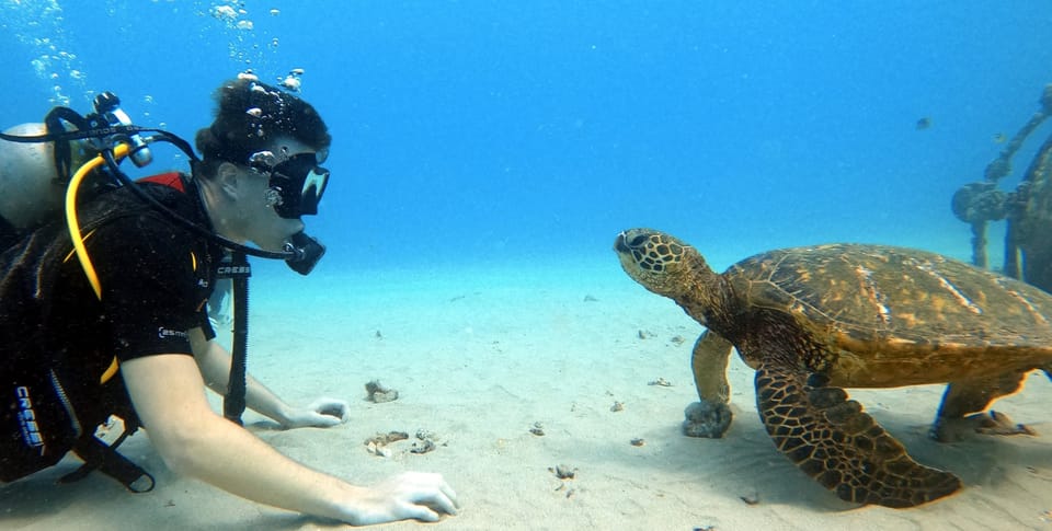 Oahu: Scuba Diving Lesson for Beginners – Hawaii, Hawaii