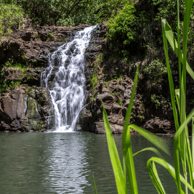 Oahu: The Ultimate Private Circle Island Tour 5-7 Guests – Honolulu, Hawaii