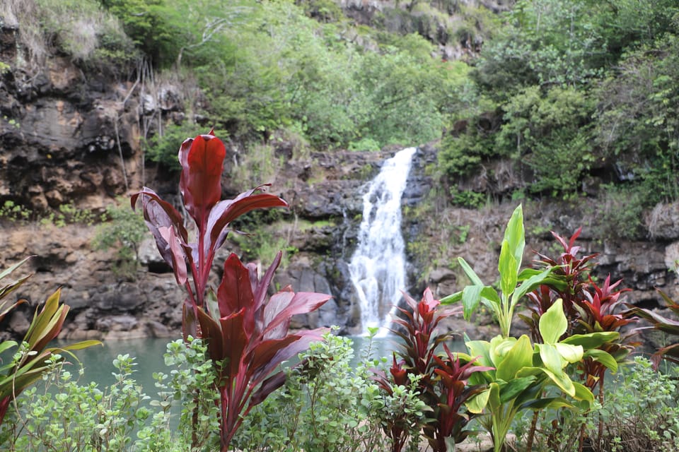 Oahu: Valley of Waimea Falls Swim & Hike with Lunch & Dole – Wahiawa, Hawaii