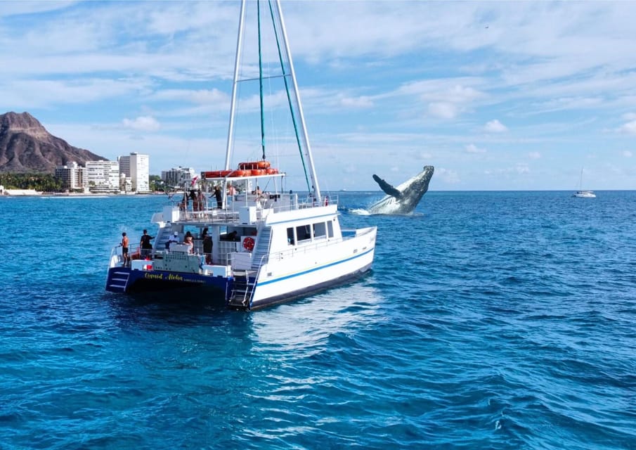 Oahu: Waikiki Whale Watching Cruise – Honolulu, Hawaii