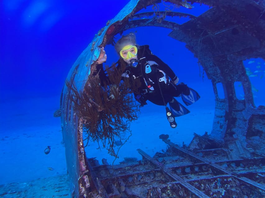 Oahu: Wreck & Reef Scuba Dive for Certified Divers – Honolulu, Hawaii