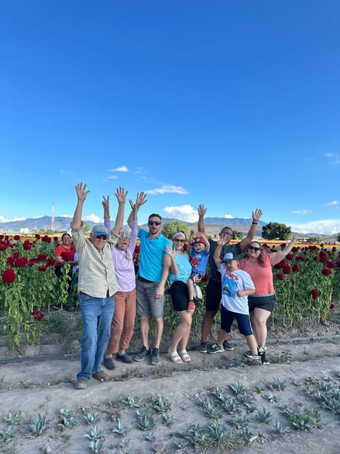 Oaxaca: Hierve el Agua & Mezcal Distillery Small-Group Tour – Hierve el Agua, Mexico