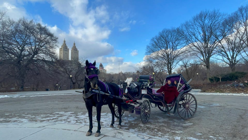 Official VIP Whole Central Park Horse Carriage Tour – New York City, New York