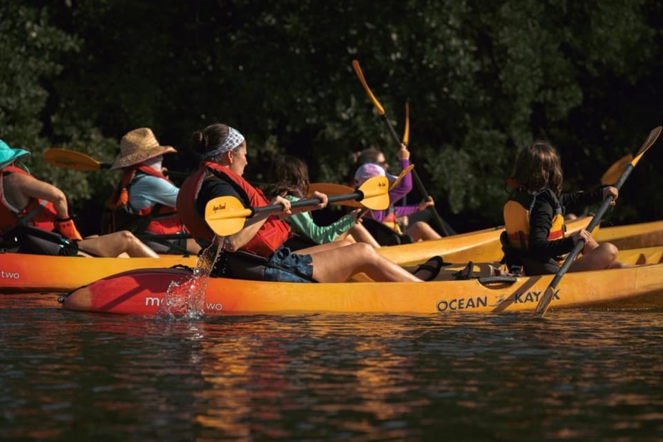 Oleta River State Park: Eco Kayak or Paddleboard Tour – Miami, Florida