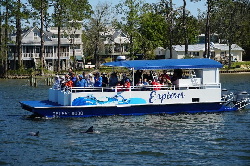 Orange Beach: Dolphin-Watching Eco-Boat Tour – Orange Beach, Alabama