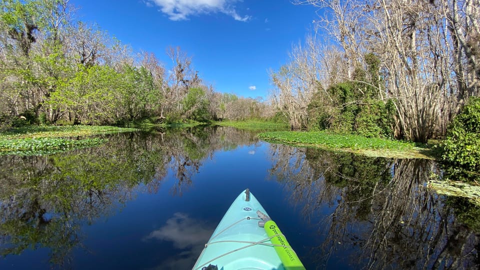 Orange City: Blue Spring State Park Guided Kayak Tour – Blue Spring State Park, Florida