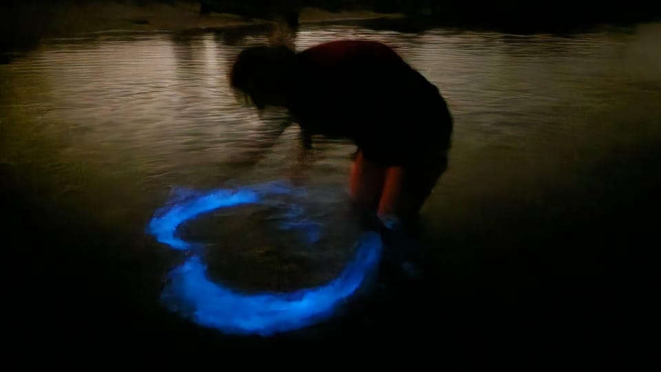 Orlando: Bioluminescence Kayak and Swim Adventure – Indian River Lagoon, Florida