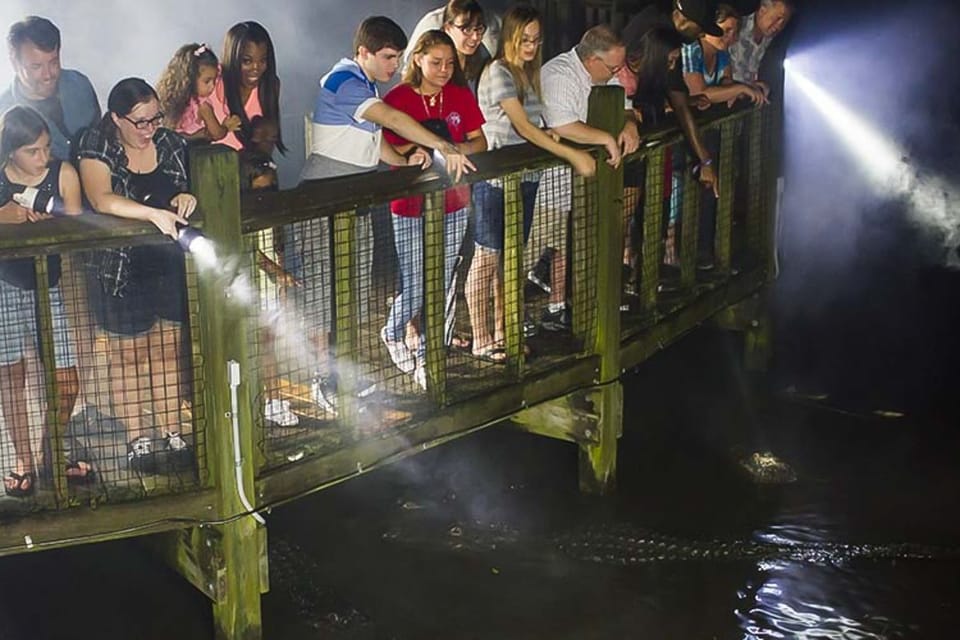 Orlando: Gatorland Flashlight Tour at Night – Southchase, Florida