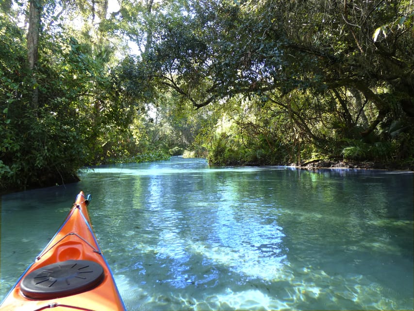 Orlando: Small Group Rock Springs Run Kayak Tour – Apopka, Florida