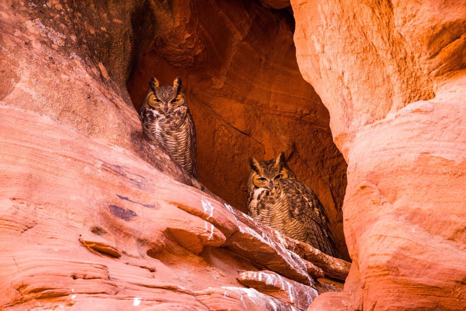 Page: Rattlesnake and Owl Slot Canyon Tour – Owl Canyon, Arizona