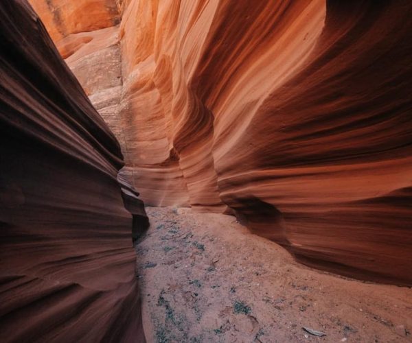 Page: Sand Dune Slot Canyon Hiking Tour – Page, Arizona