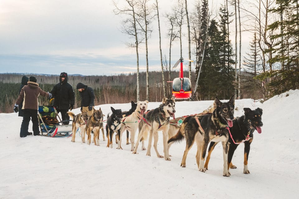 Palmer: “Dogs and Glaciers” Sledding and Helicopter Tour – Alaska, Alaska