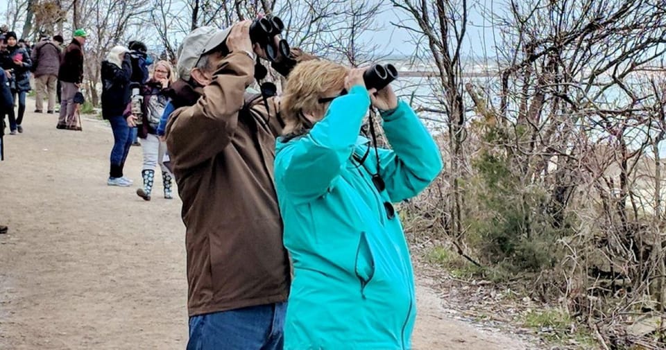 Pearlington: Devil’s Swamp Eco Walking Tour – Devils Swamp, Mississippi