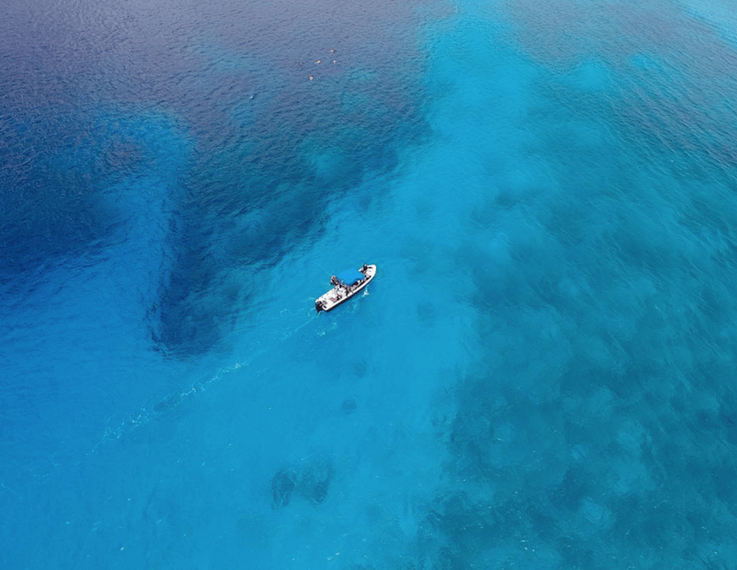 Playa: Bull Shark Dive – Playa del Carmen, Mexico