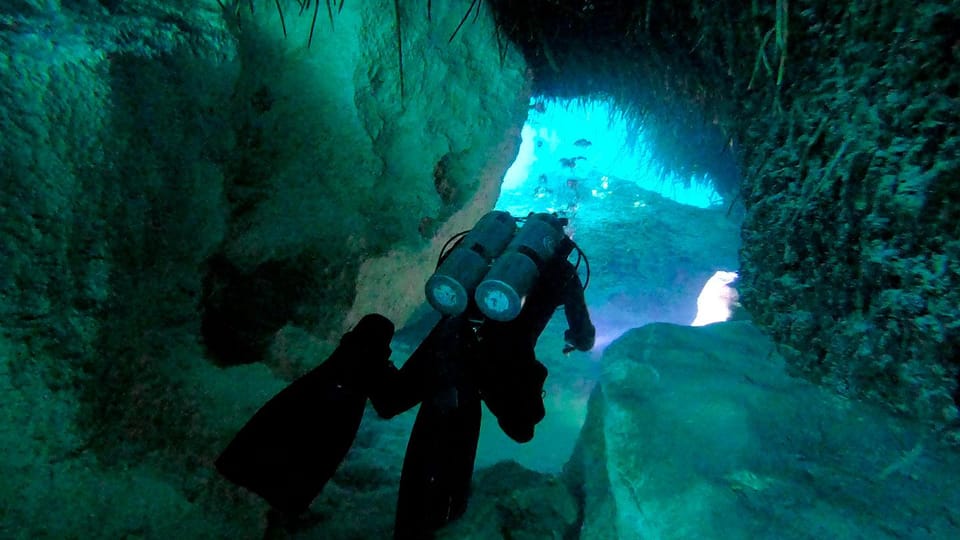 Playa del Carmen: Dual Realm Diving (Cenote + Reef Diving) – Playa del Carmen, Mexico