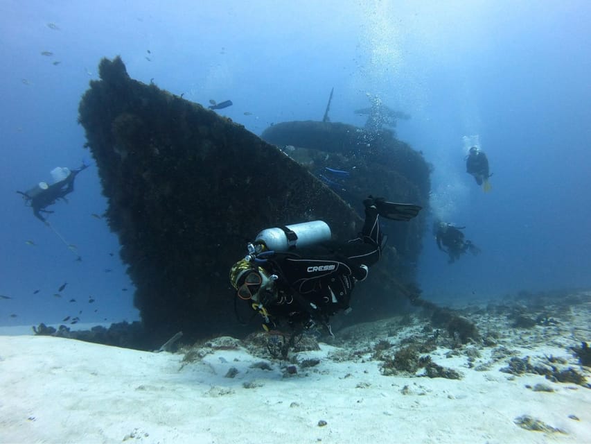 Playa del Carmen: MamaViña Wreck & Reef for Certified Divers – Playa del Carmen, Mexico