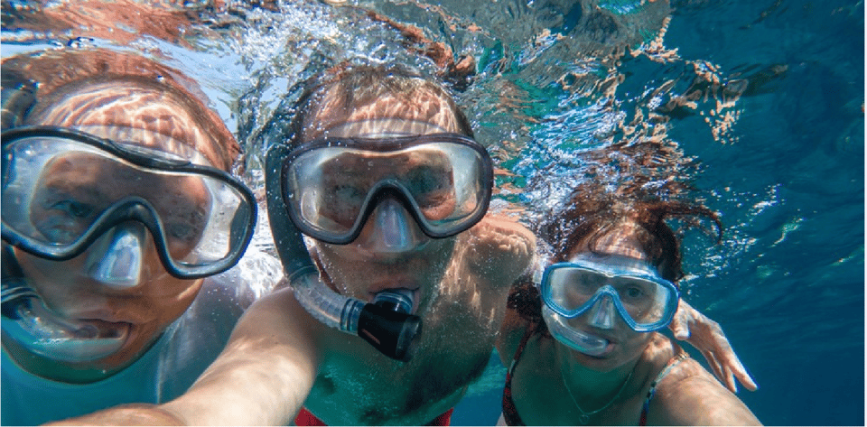 Playa del Carmen: Snorkel Tour at Local Reef – Playa del Carmen, Mexico