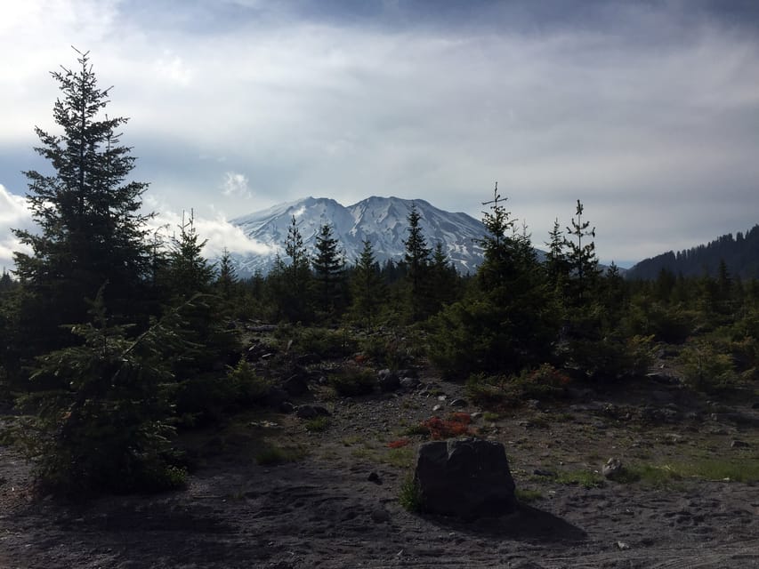 Portland: The Mt. St. Helens Adventure Tour – Castle Rock, Washington