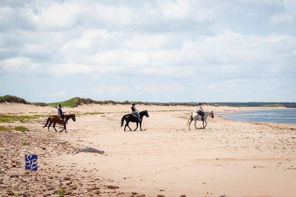 Prince Edward Island: Beginner Horse Ride On The Beach – , Canada