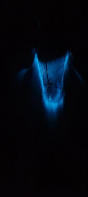 Private Bioluminescence Tours- Cocoa Beach Up to 6 Guests – Port Canaveral, Florida