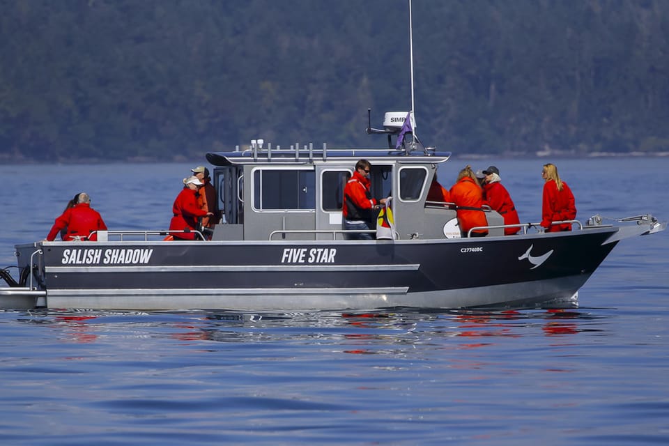 Private Charter – Marine Life and Whale-Watching Boat Tour – Victoria, British Columbia, Canada