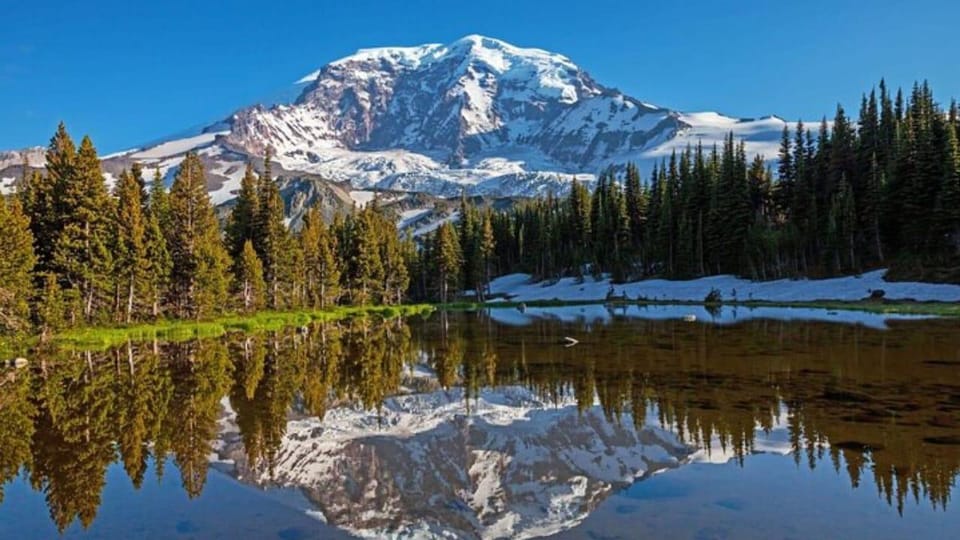 Private Mount Rainier tour from Portland – Mount Rainier National Park, Washington