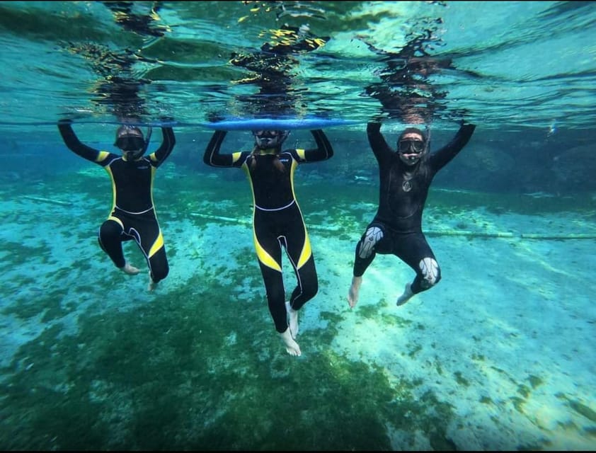 Private VIP Manatee Encounter – Crystal River, Florida