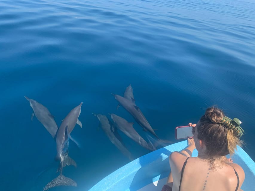 Puerto Escondido: Boat Tour to see Dolphins and Marine Life – Puerto Escondido, Mexico