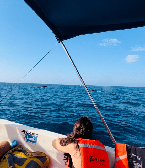 Puerto Escondido: Whale-Watching Cruise & swim with Dolphins – La Punta Zicatela, Mexico