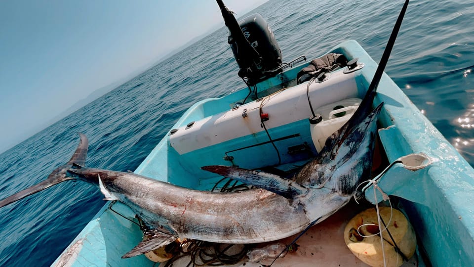 Puerto: Fishing Experience Marlin, Sailfish, Tuna or Dorado – Puerto Escondido, Mexico