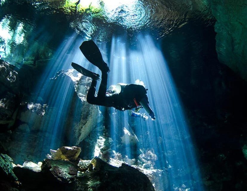 Puerto Morelo: Cenote Diving – Puerto Morelos, Mexico