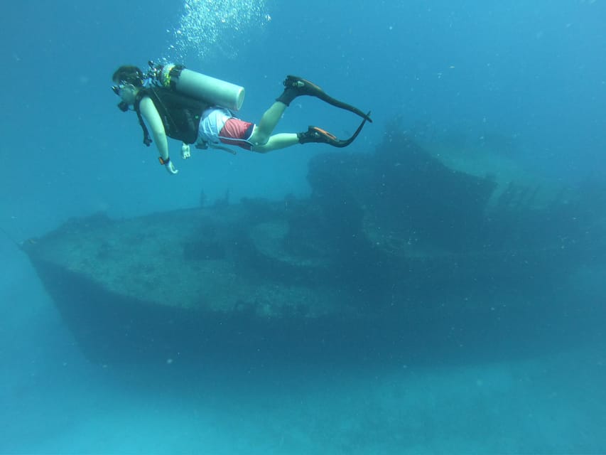 Puerto Morelos: C-56 Shipwreck & Reef for Certified Divers – Puerto Morelos, Mexico