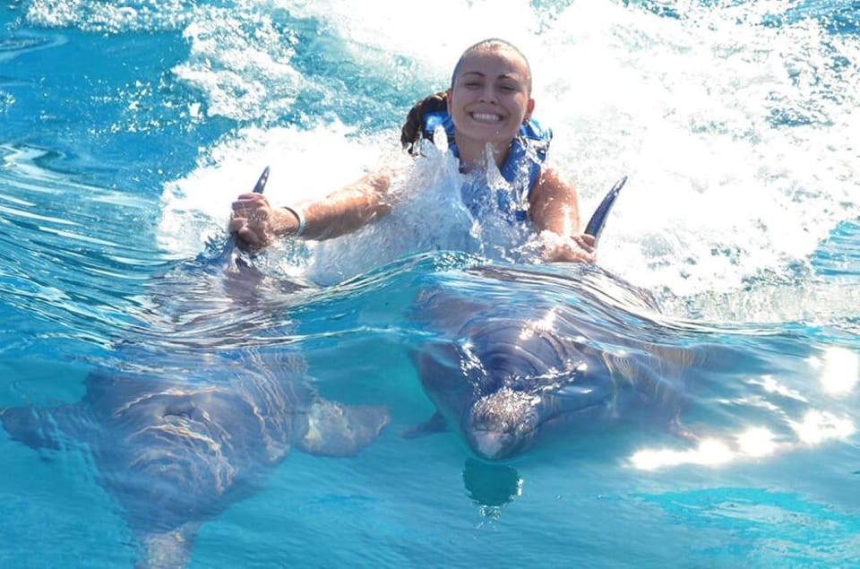 Puerto Vallarta: Dolphin Royal Swim at Aquaventuras Park – Nuevo Vallarta, Mexico