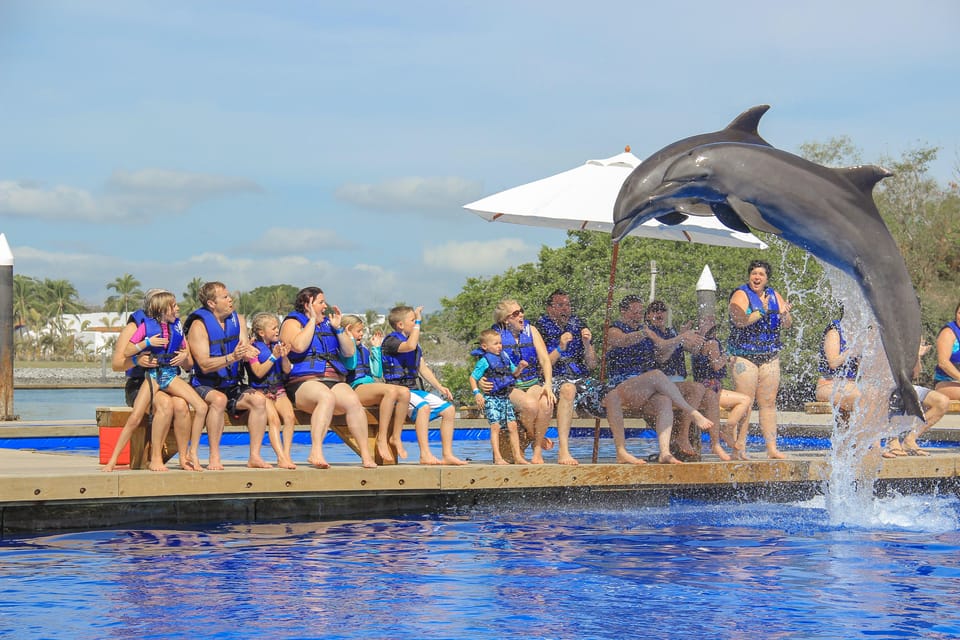 Puerto Vallarta: Signature Swim with Dolphins – Vallarta Adventures Dolphin Center, Mexico