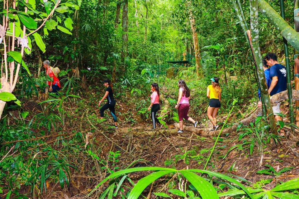 Puerto Vallarta: Vallarta’s Botanical Garden by Sea or Land – Los Veranos Canopy Tour, Mexico