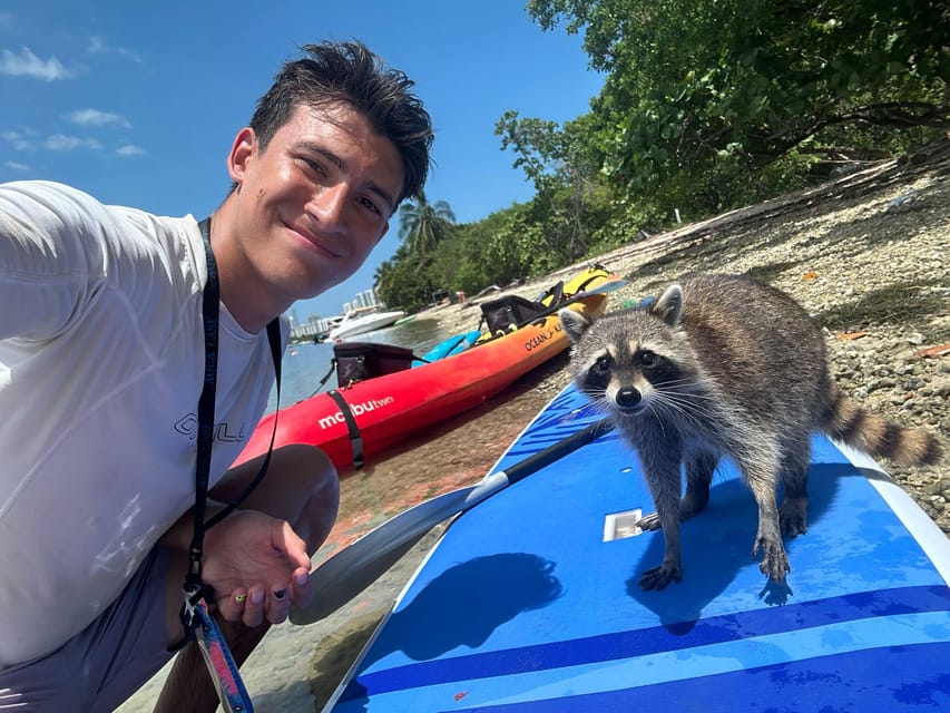 Raccoon Island: Exploration on SUP/Kayak – Miami, Florida