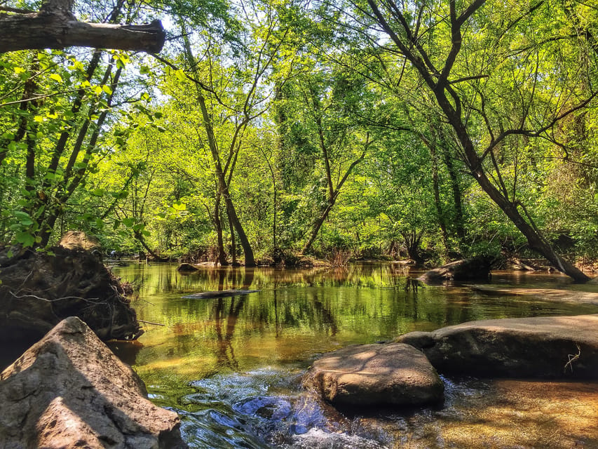 Richmond: Guided Hike in James River Park – James River, Virginia