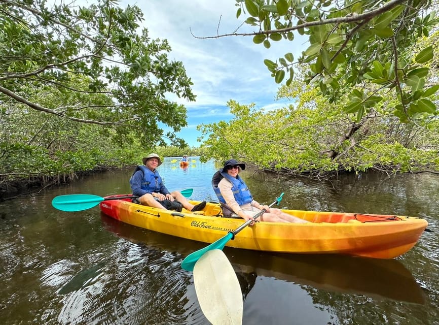 Robinson Preserve Mangrove Tour – Robinson Preserve, Florida