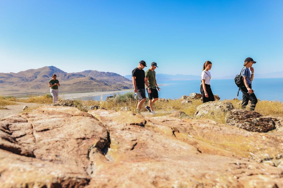 Salt Lake City: Great Salt Lake Antelope Island Guided Tour – Great Salt Lake, Utah