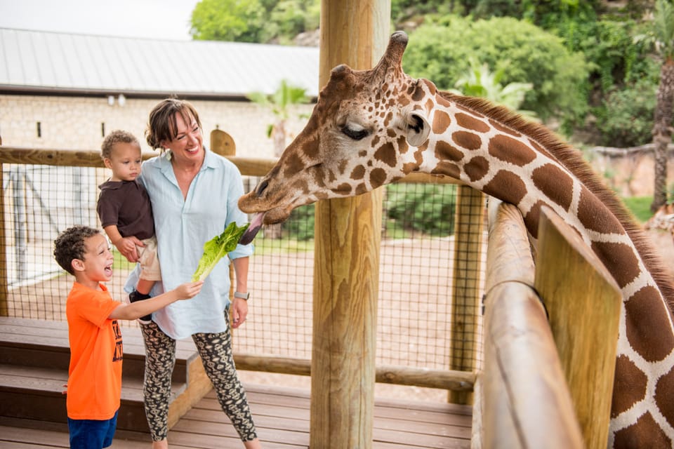 San Antonio: San Antonio Zoo Any Day Ticket – San Antonio, Texas