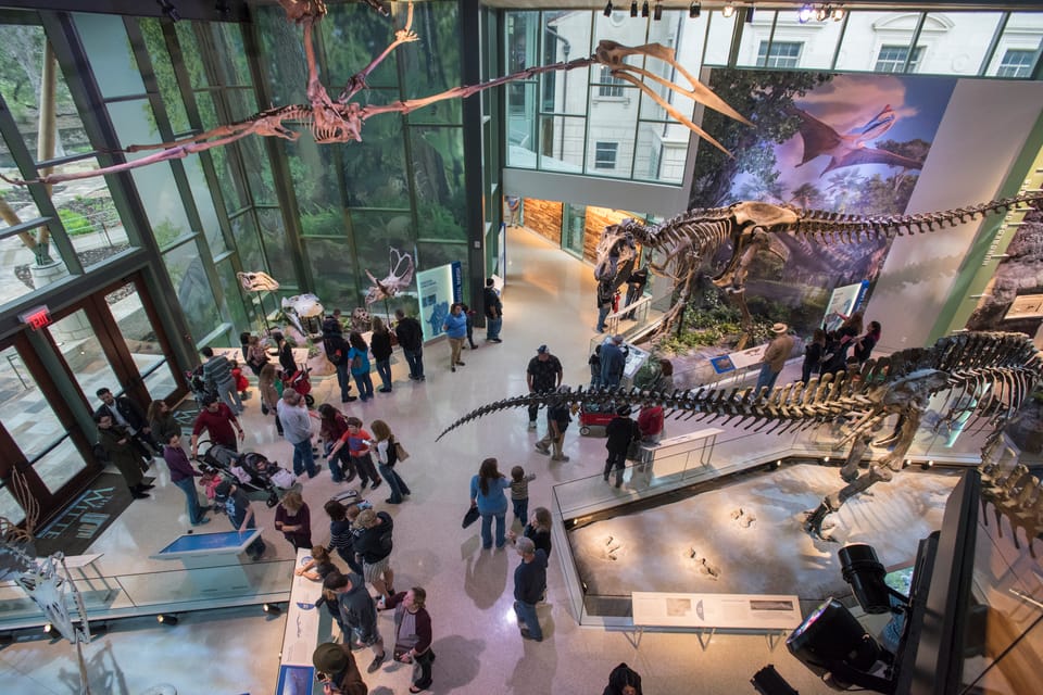 San Antonio: Witte Museum Admission Ticket – San Antonio, Texas