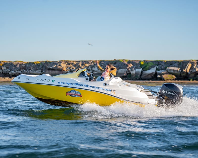 San Diego: Drive Your Own Speed Boat 2-Hour Tour – San Diego, California