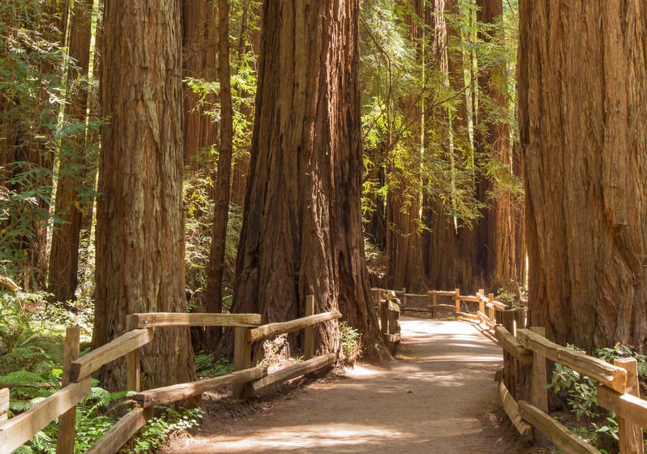 San Francisco: Muir Woods and Sausalito Small Group Tour – San Francisco, California