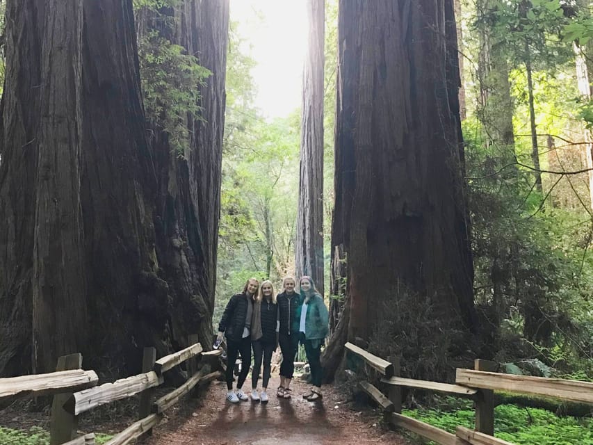 San Francisco Tour to Muir Woods Giant Redwoods & Sausalito – San Francisco, California