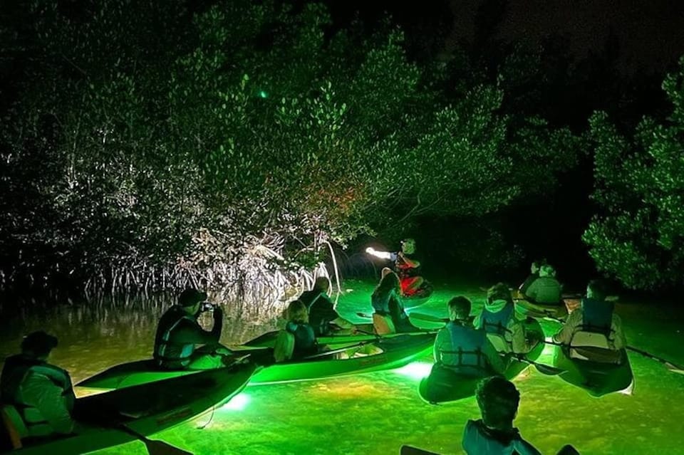 Sarasota: Glass Bottom Kayak Fish Feeding LED Night Tour – Ringling Bridge Causeway Park, Florida